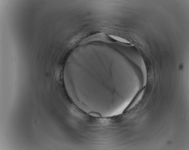 X0000094060233200711161532