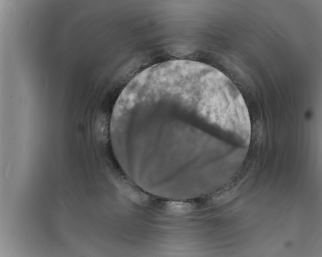 X0000094060234200711161532