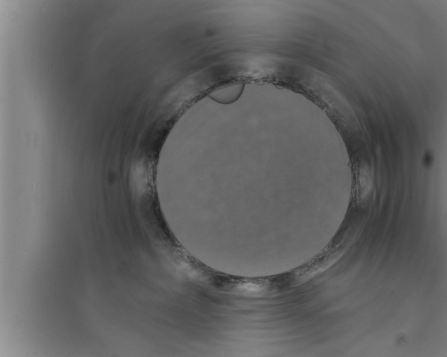 X0000094060236200711161532