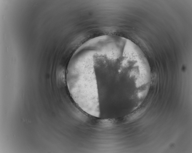 X0000094060238200711161532