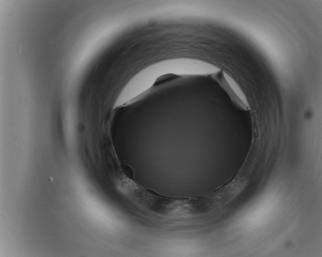 X0000094060239200711161532