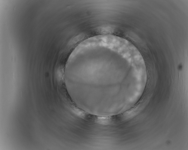 X0000094060240200711161532