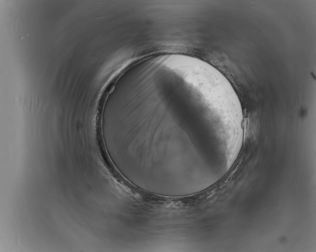 X0000094060243200711161531