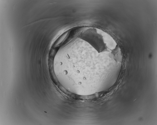 X0000094060244200711161531