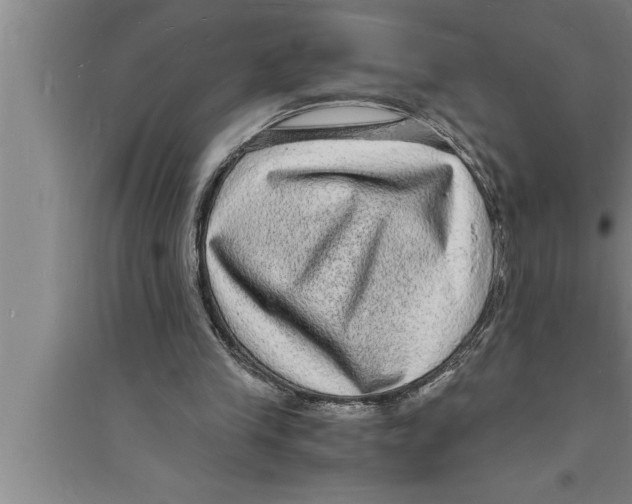 X0000094060245200711161531