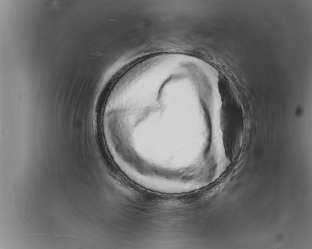 X0000094060246200711161531