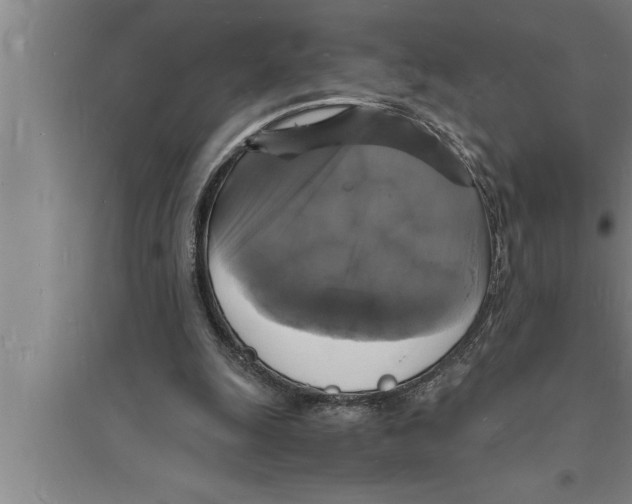 X0000094060247200711161531