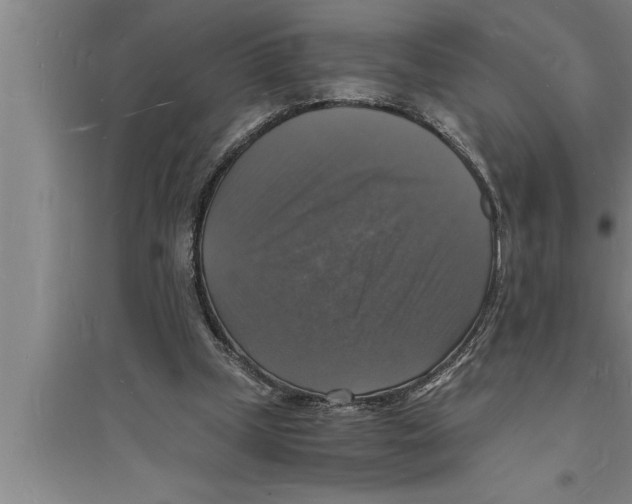 X0000094060249200711161531