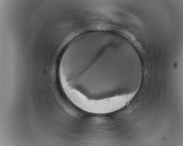 X0000094060250200711161531