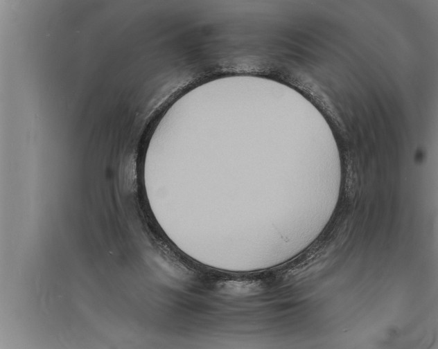 X0000094060251200711161531