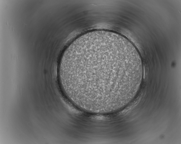 X0000094060253200711161531