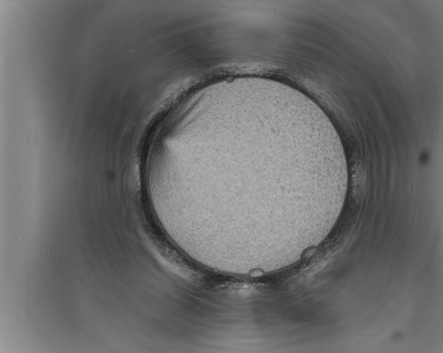 X0000094060254200711161531