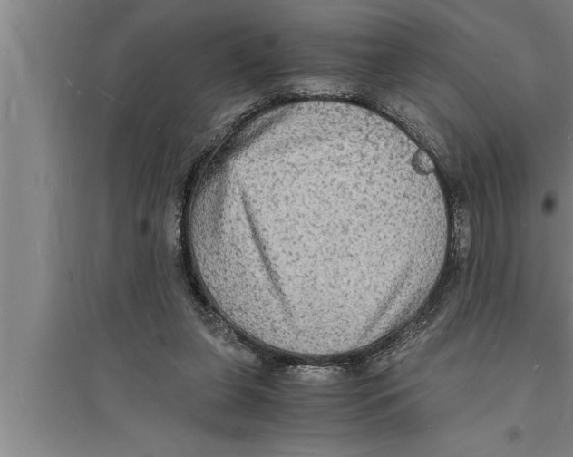 X0000094060255200711161531