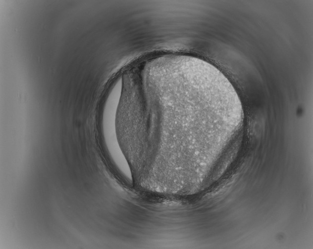 X0000094060256200711161531