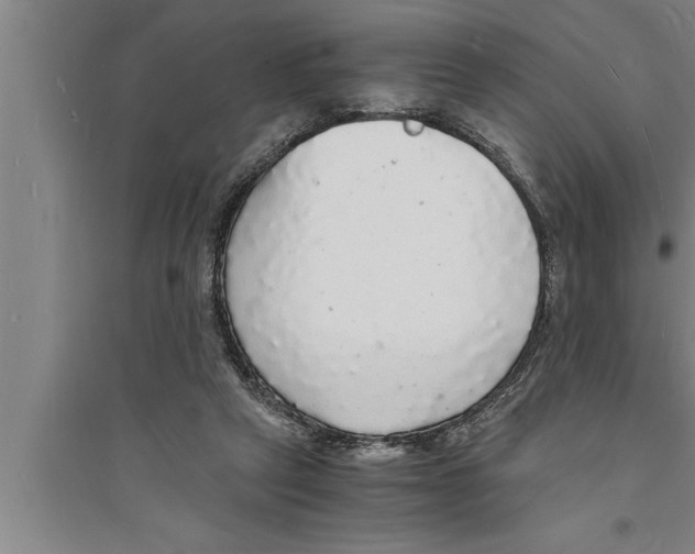 X0000094060257200711161531