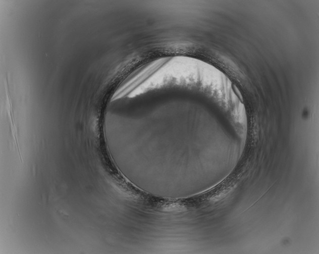 X0000094060258200711161531