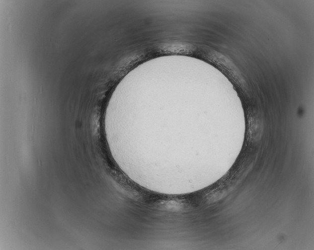 X0000094060259200711161531