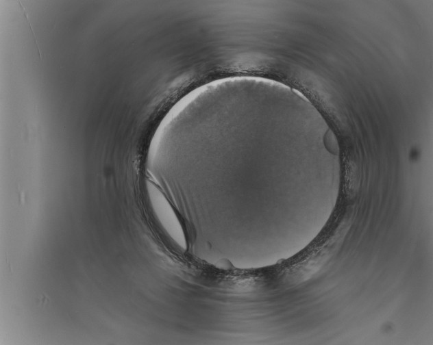 X0000094060260200711161531