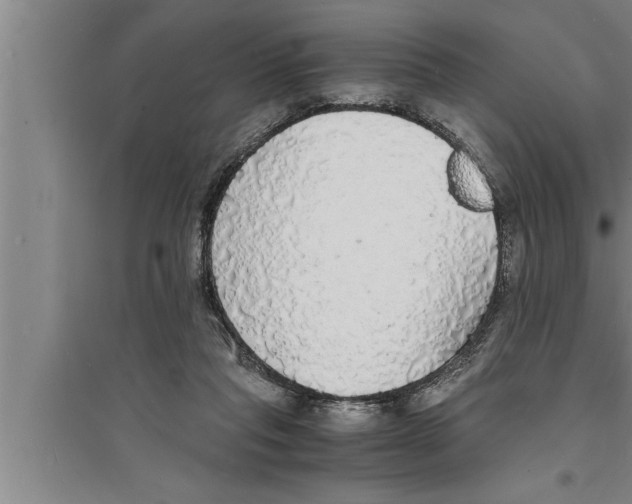 X0000094060261200711161531