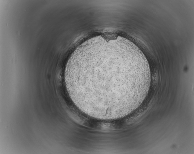 X0000094060264200711161531