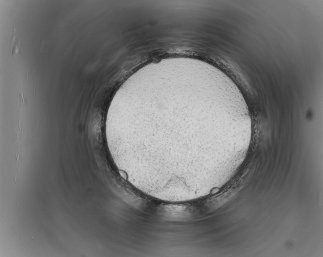 X0000094060265200711161531