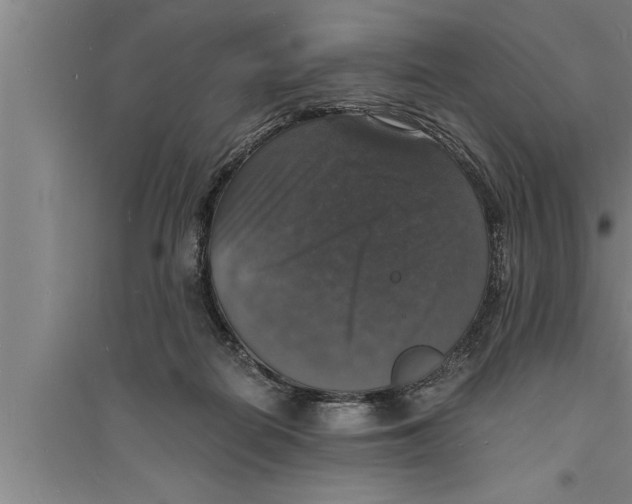 X0000094060266200711161531