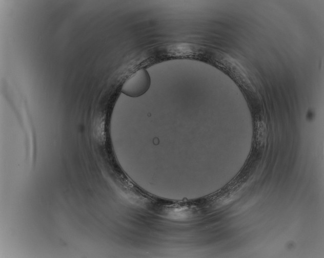 X0000094060267200711161531