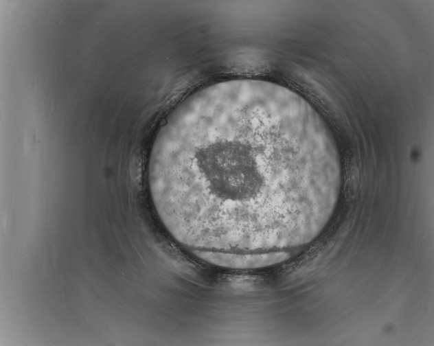 X0000094060268200711161531