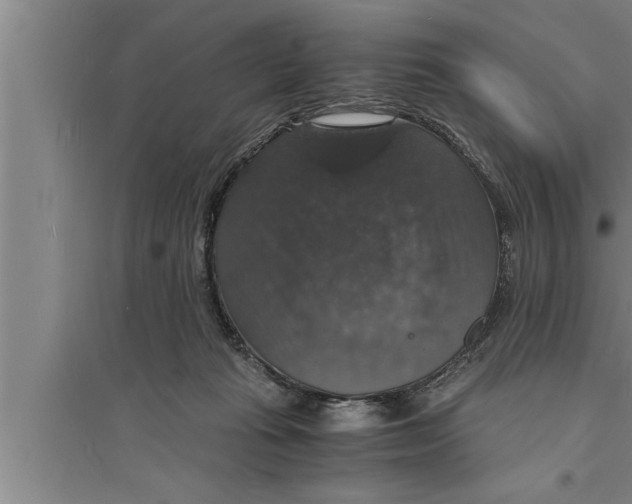 X0000094060269200711161531