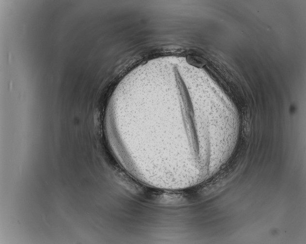 X0000094060270200711161531