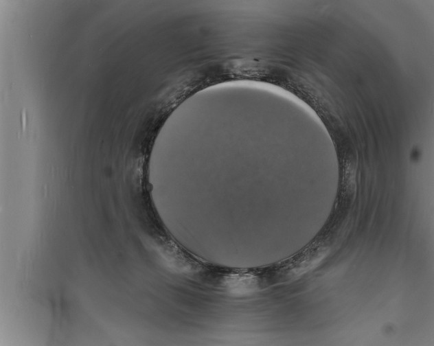 X0000094060271200711161531