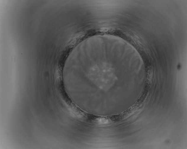 X0000094060272200711161531