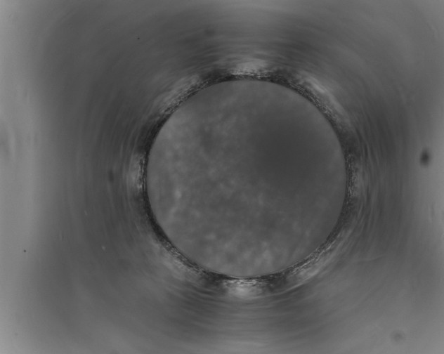 X0000094060273200711161531