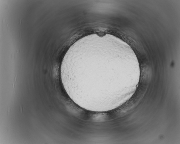 X0000094060274200711161531