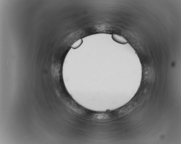 X0000094060275200711161531