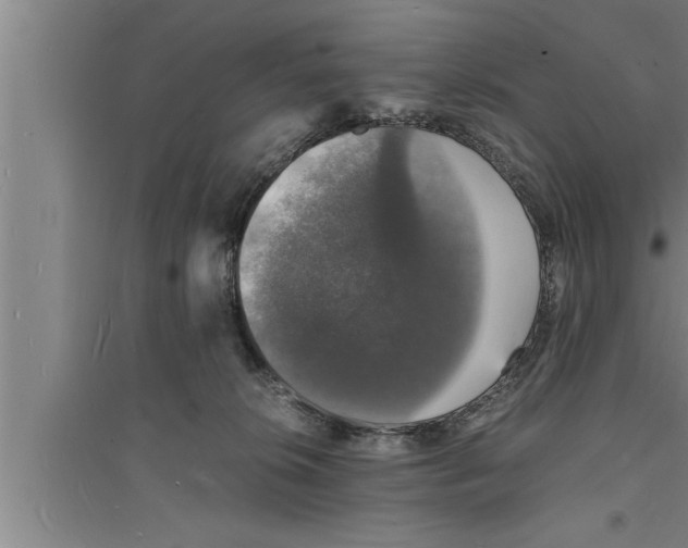 X0000094060276200711161531