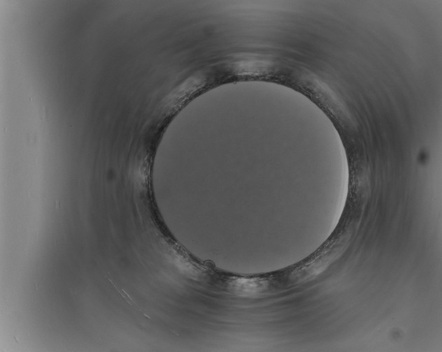 X0000094060277200711161531