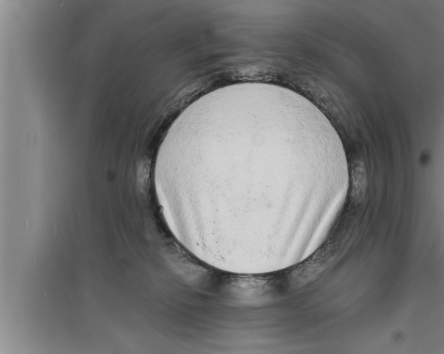 X0000094060278200711161531