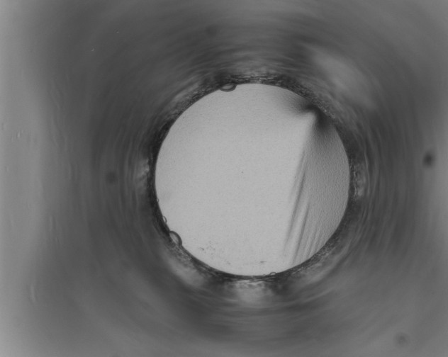 X0000094060279200711161531