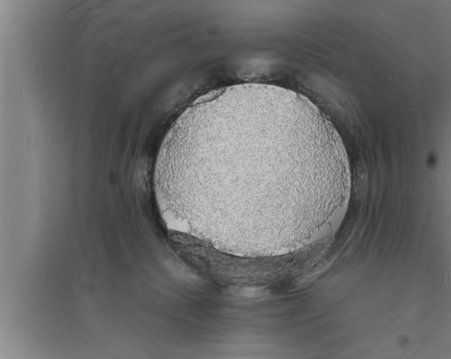 X0000094060280200711161531