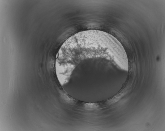 X0000094060281200711161531