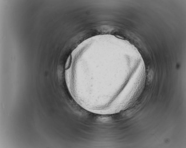 X0000094060283200711161531