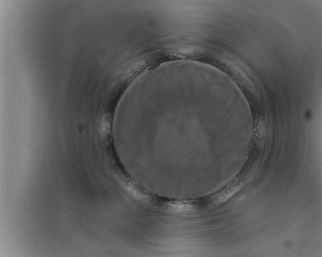 X0000094060284200711161531