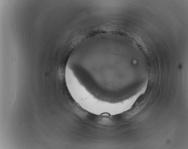 X0000094060285200711161531