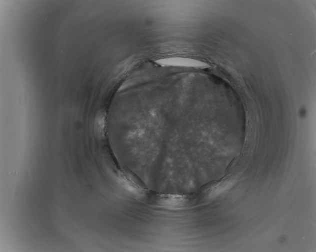 X0000094060288200711161532