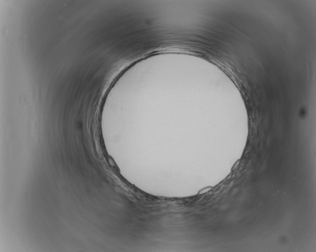 X0000094060289200711161531