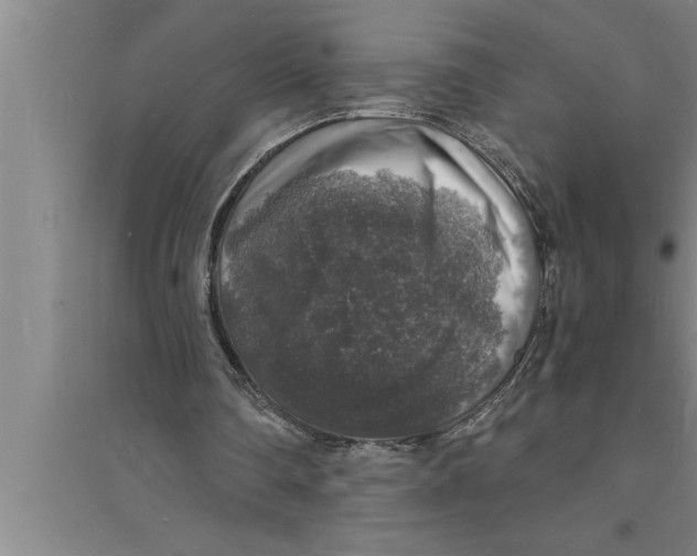 X0000094060290200711161531