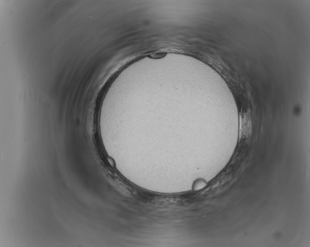 X0000094060291200711161531