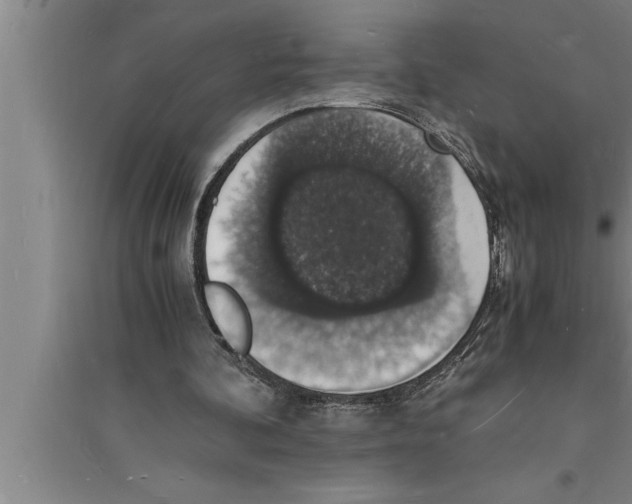 X0000094060292200711161531