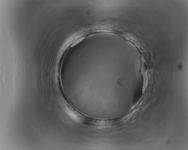 X0000094060293200711161531